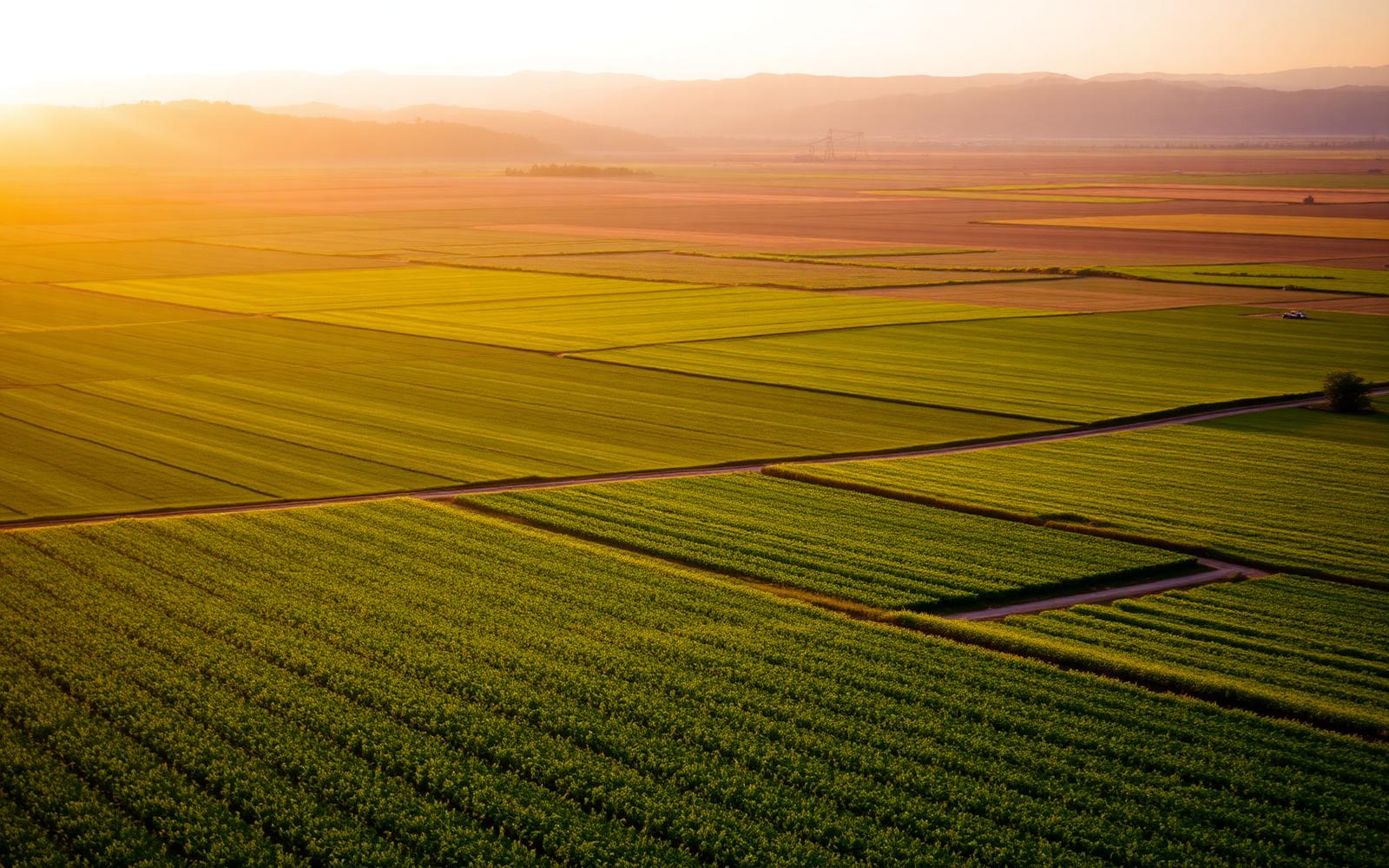 Agriculture